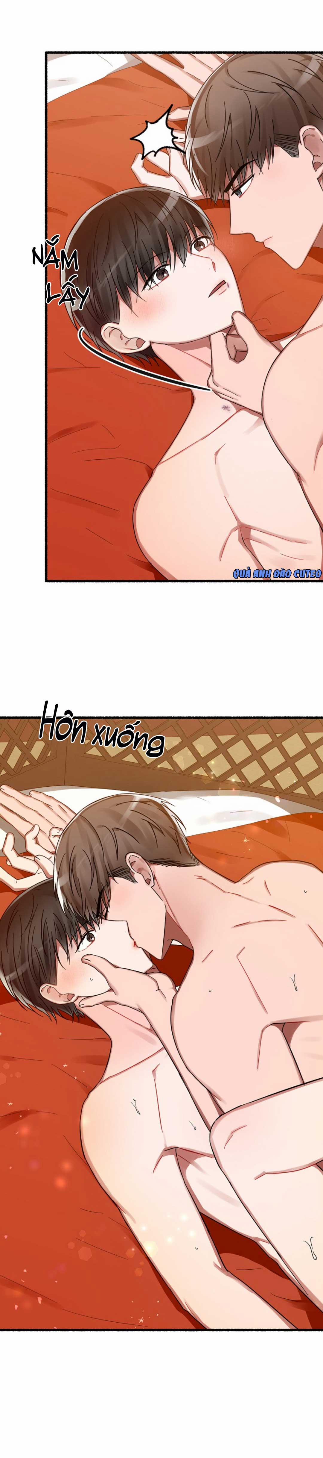 Hoa Triều 11 trang 17