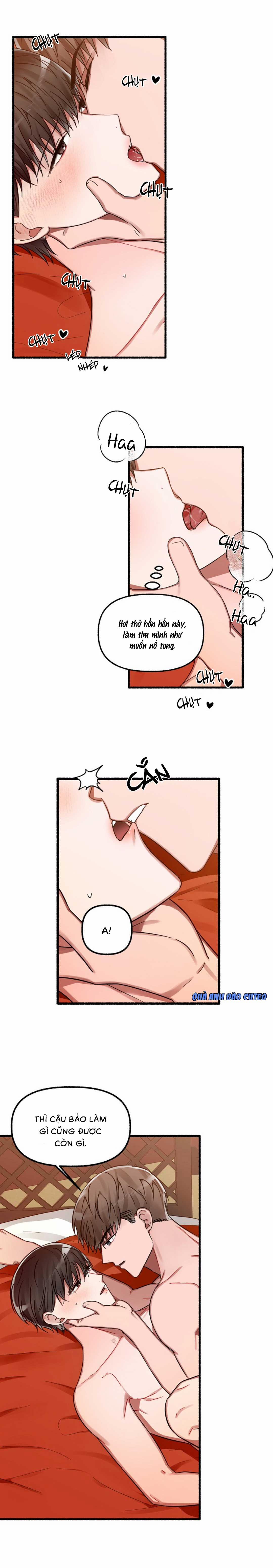 Hoa Triều 11 trang 18