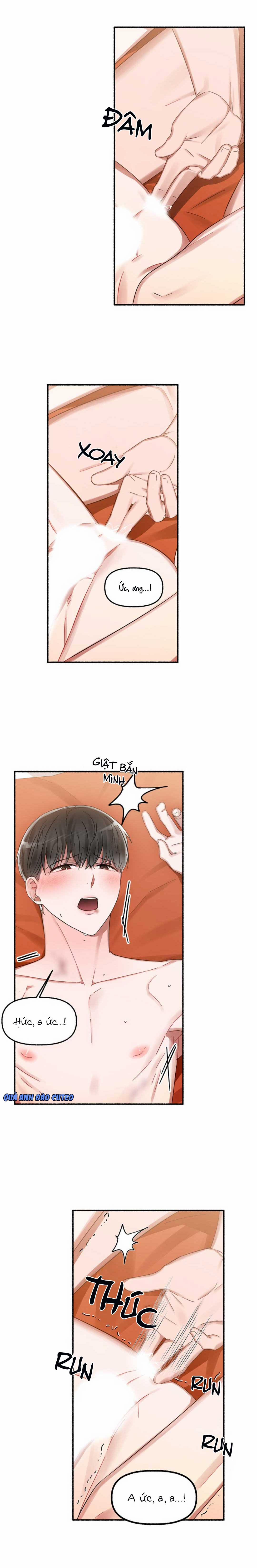 Hoa Triều 11 trang 2