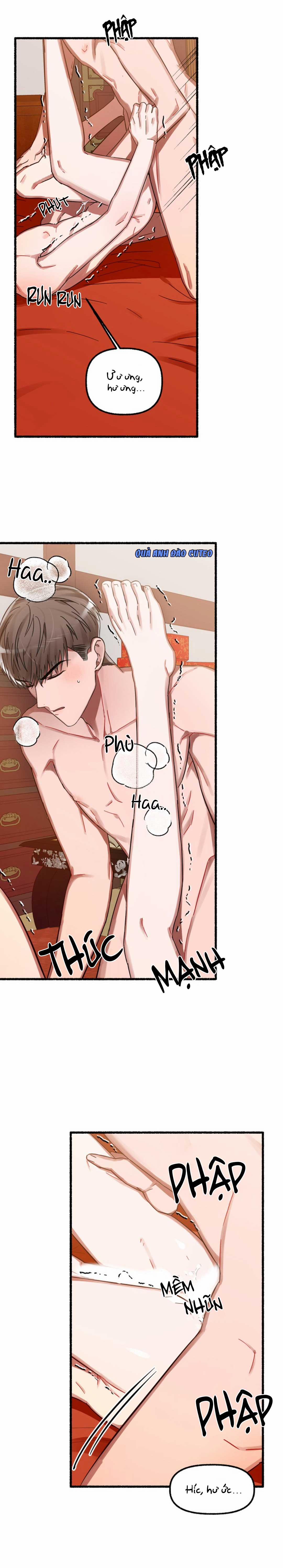 Hoa Triều 11 trang 23