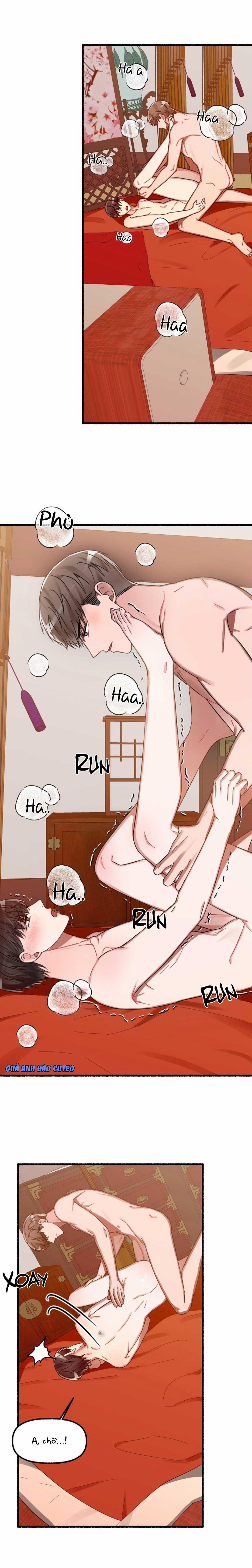 Hoa Triều 11 trang 24