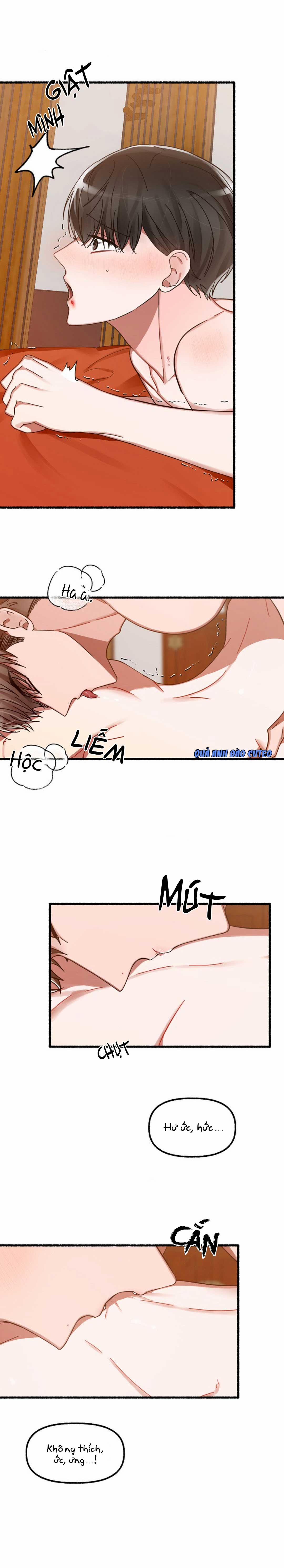 Hoa Triều 12 trang 7