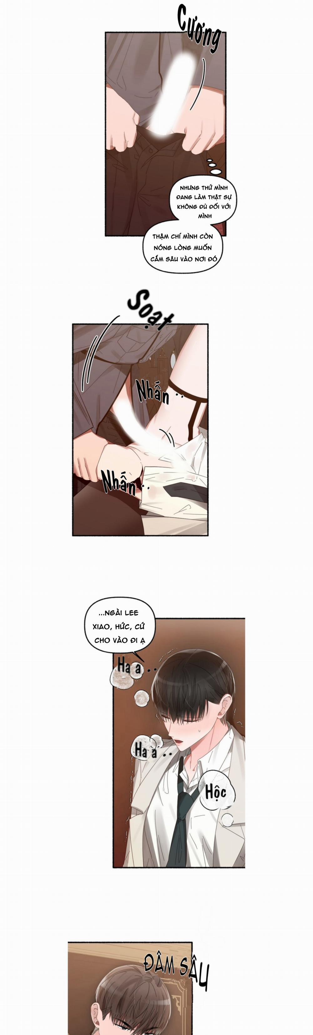 Hoa Triều 14 trang 19