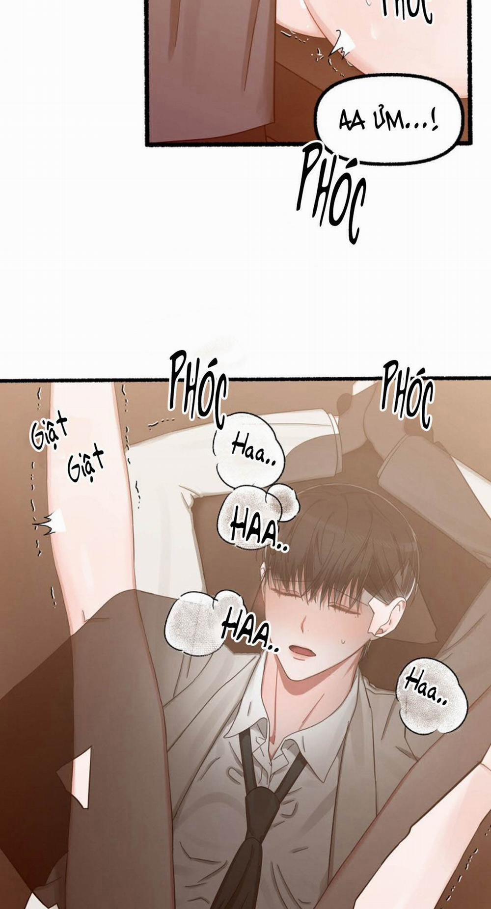 Hoa Triều 15 trang 3