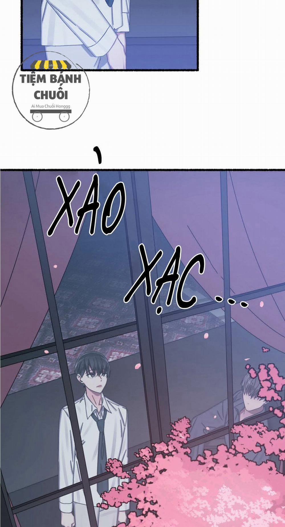 Hoa Triều 15 trang 41