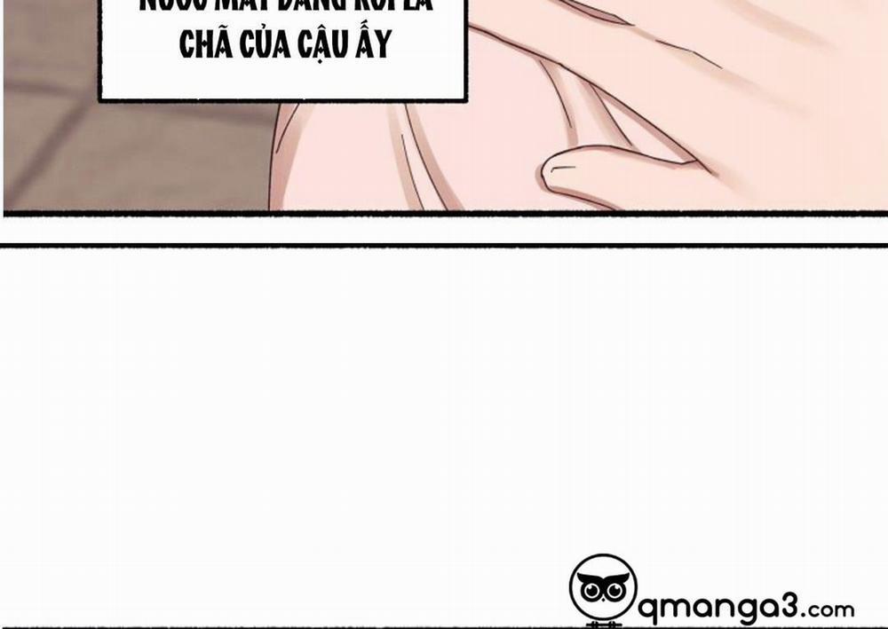 Hoa Triều 17 trang 119