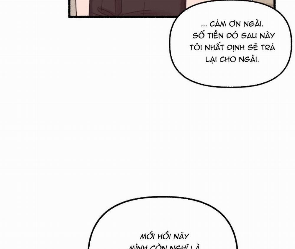 Hoa Triều 17 trang 181