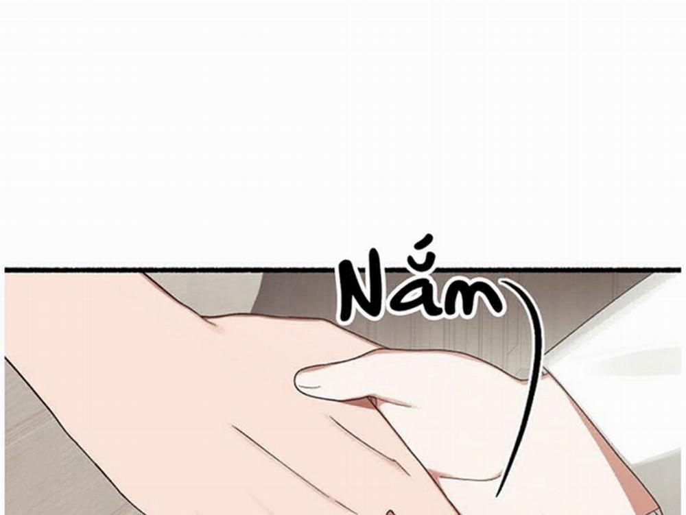 Hoa Triều 18 trang 24