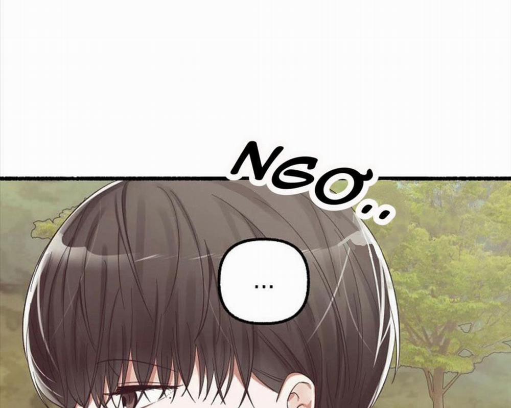 Hoa Triều 19 trang 2