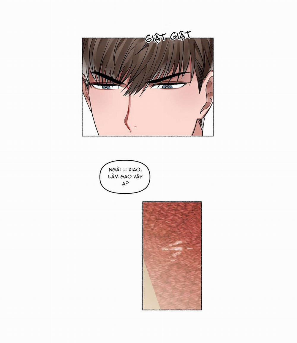 Hoa Triều 2 trang 21