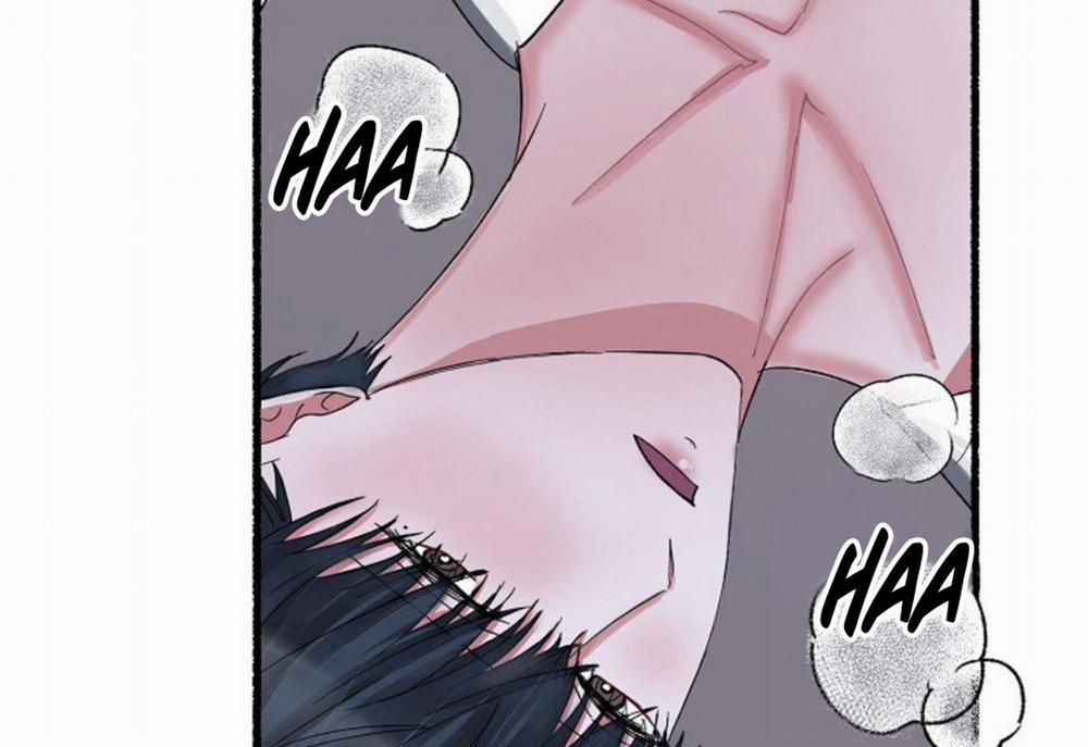 Hoa Triều 21 trang 101