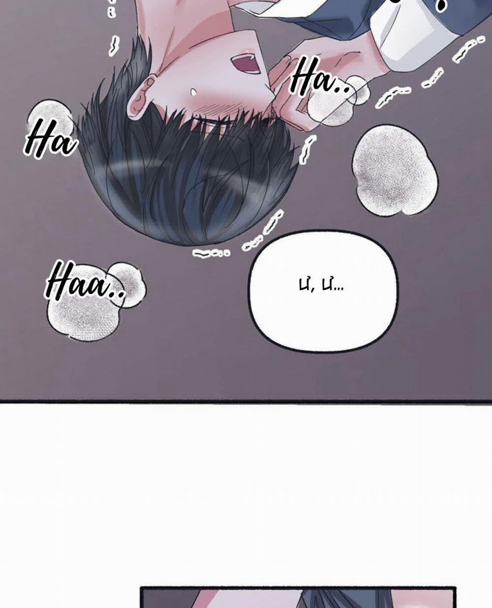 Hoa Triều 21 trang 159