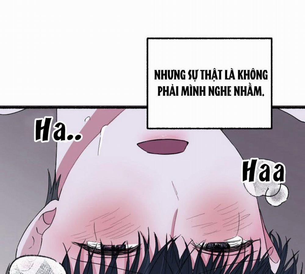 Hoa Triều 21 trang 5