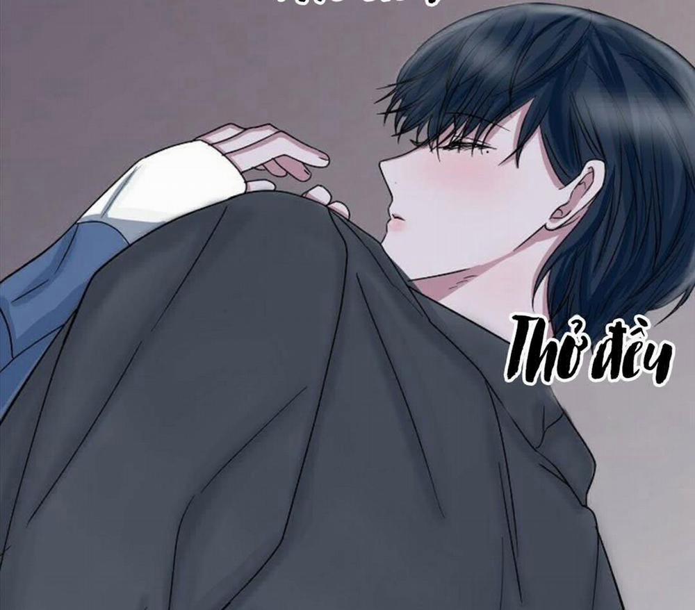 Hoa Triều 22 trang 148