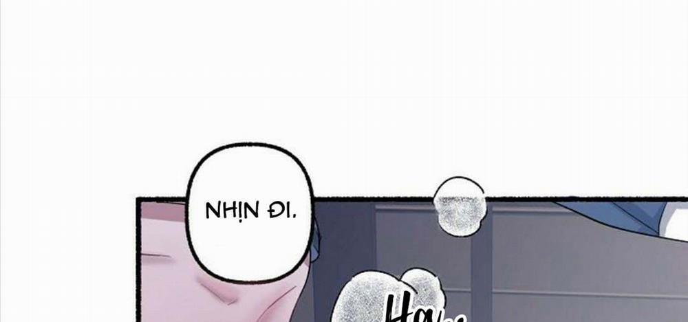 Hoa Triều 22 trang 53