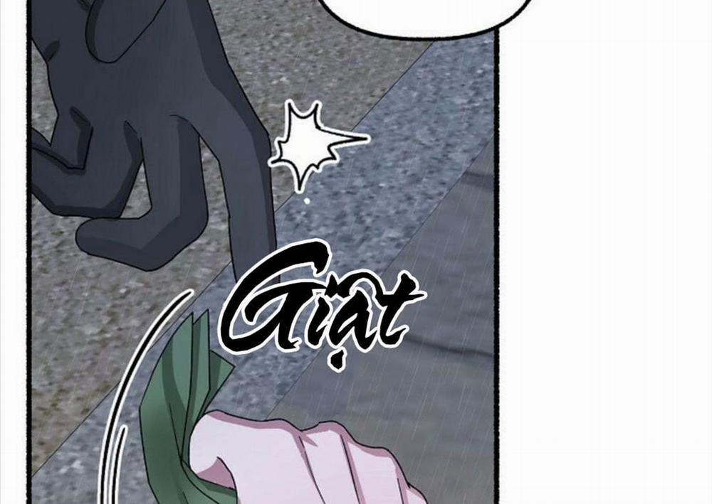 Hoa Triều 23 trang 102