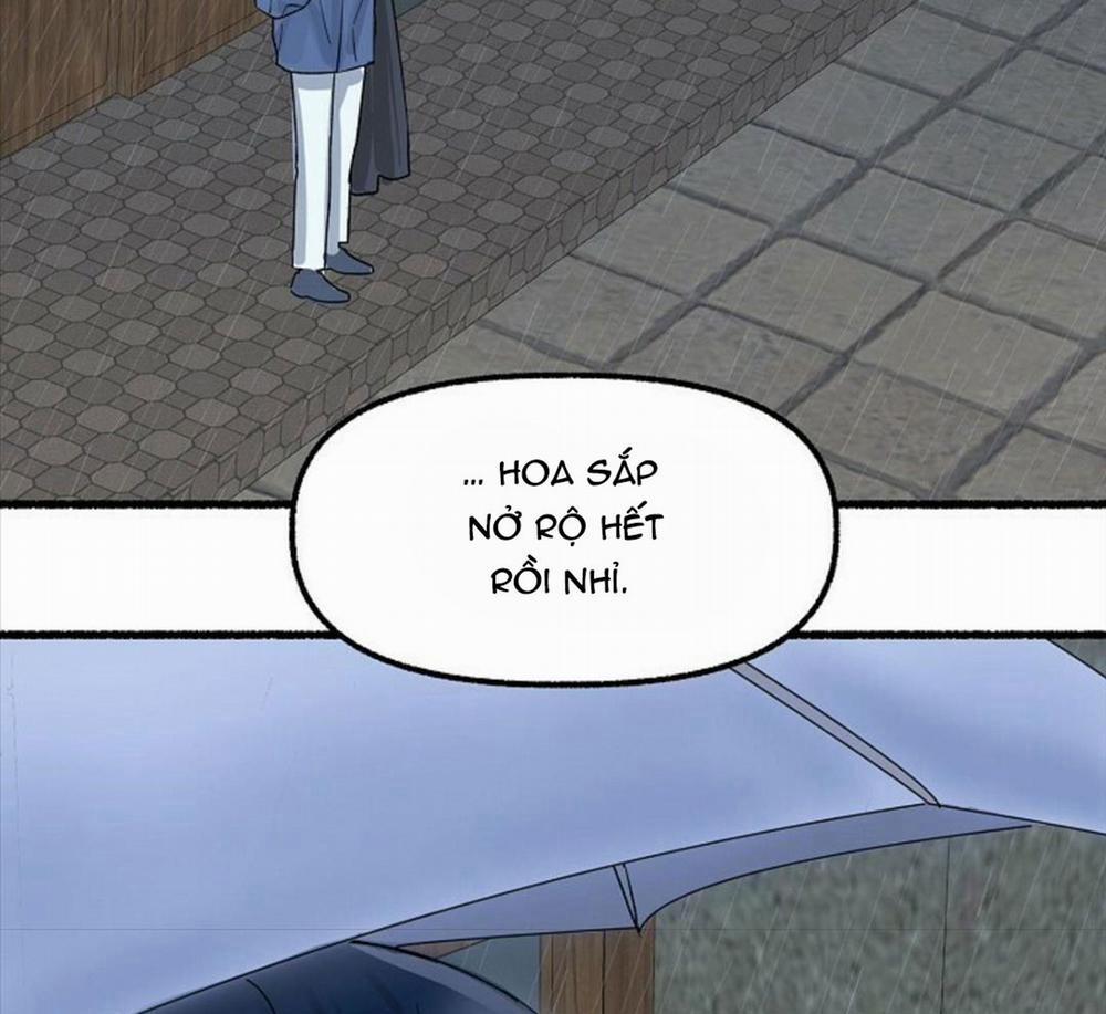 Hoa Triều 23 trang 135