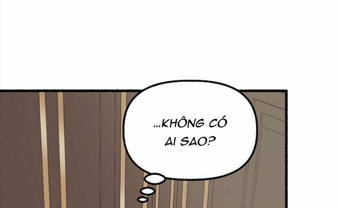 Hoa Triều 24 trang 151