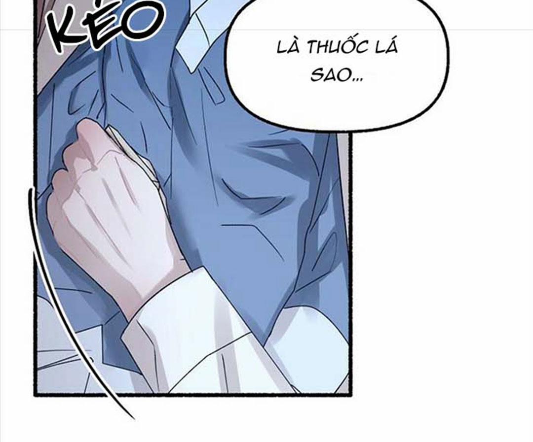 Hoa Triều 24 trang 47