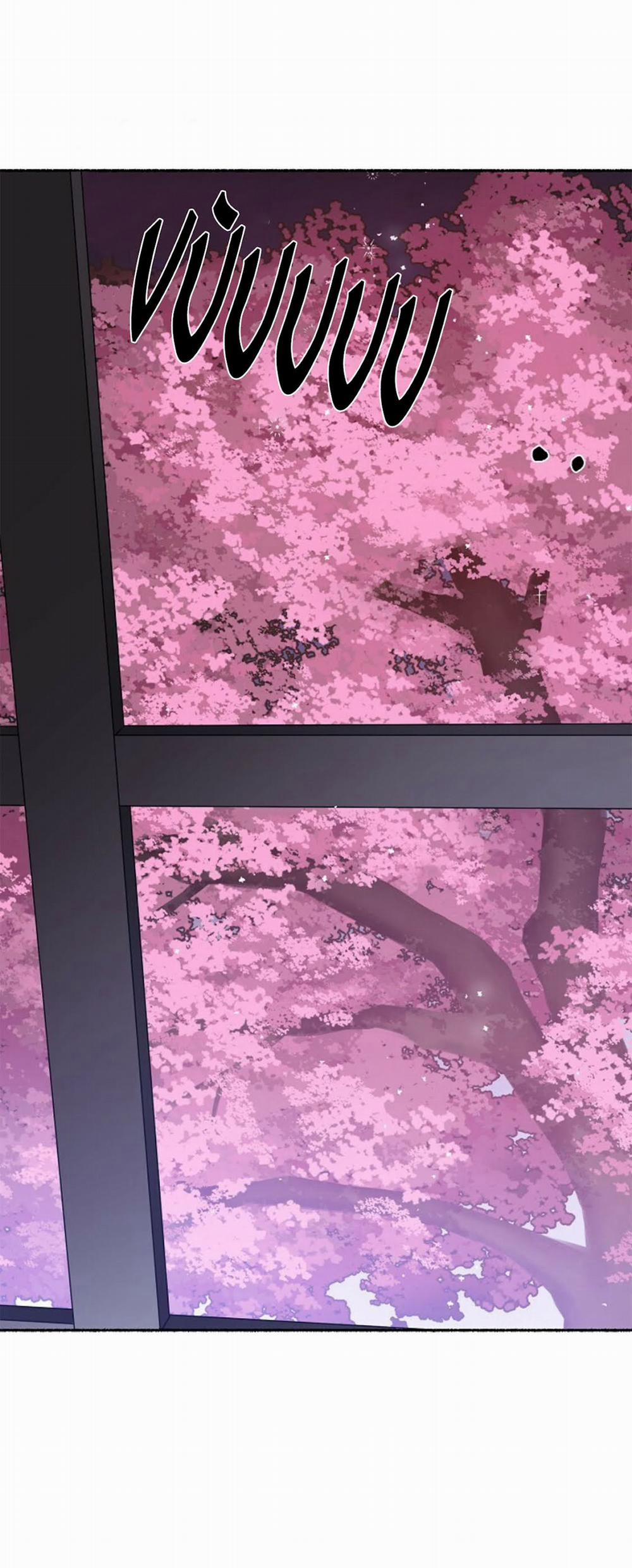 Hoa Triều 4 trang 22