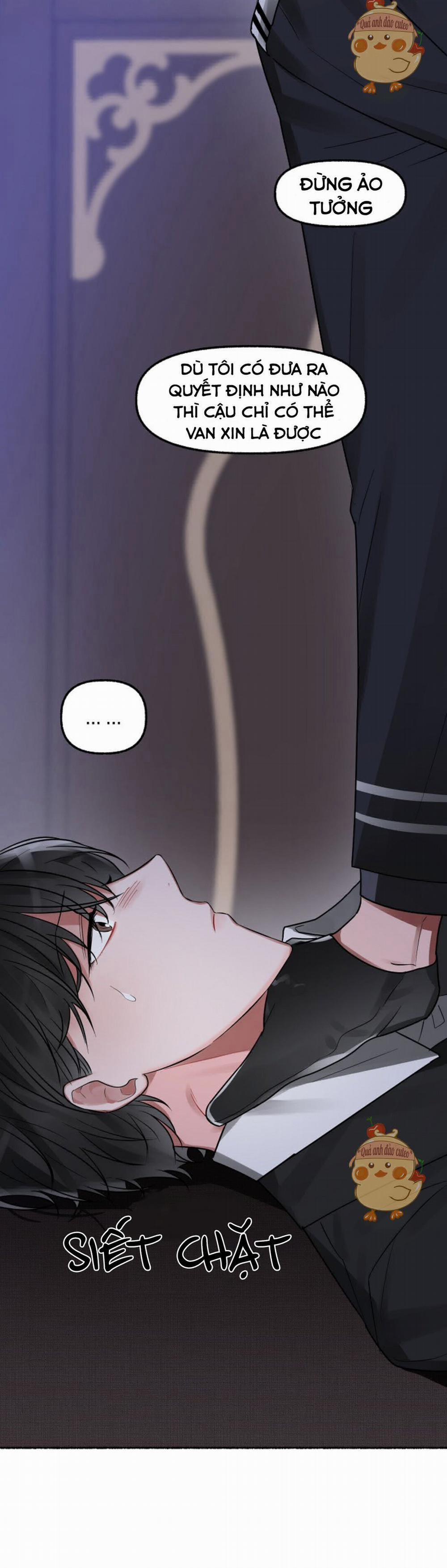 Hoa Triều 5 trang 4