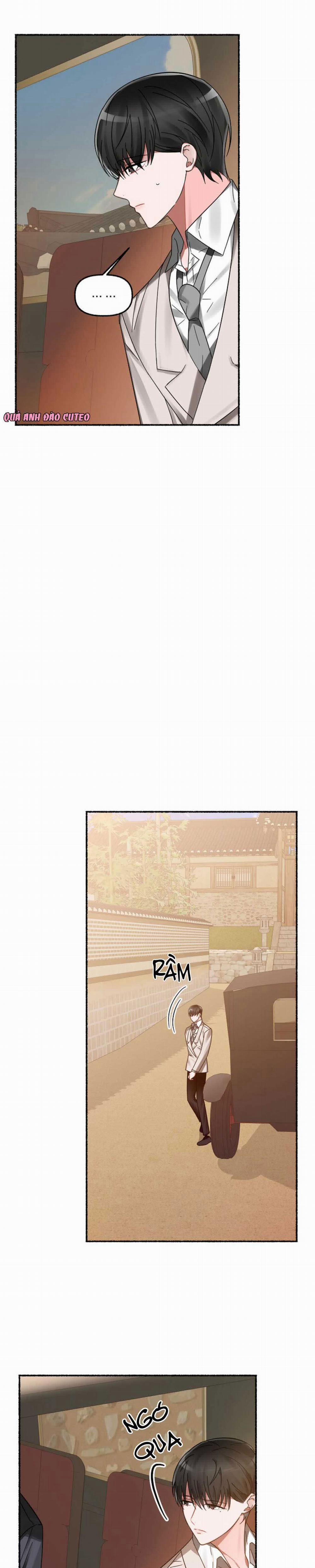 Hoa Triều 8 trang 14