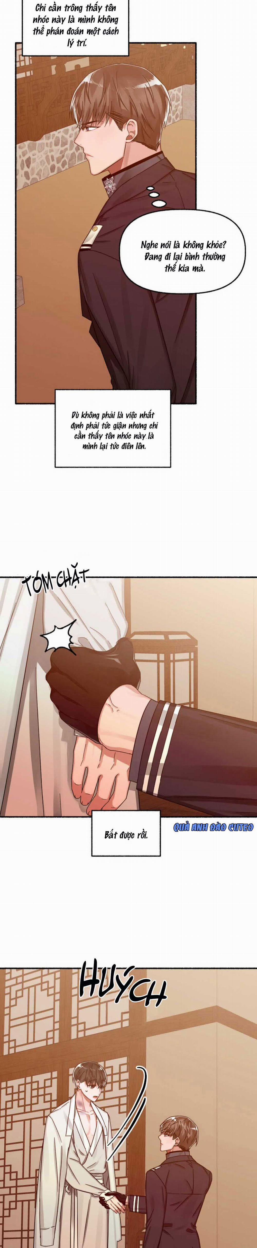 Hoa Triều 9 trang 28