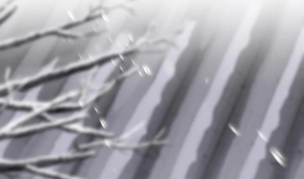 Hoa Và Gươm 10 trang 81