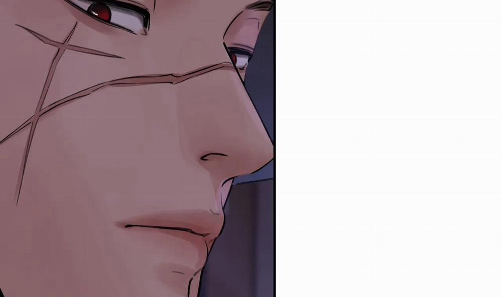 Hoa Và Gươm 11 trang 105