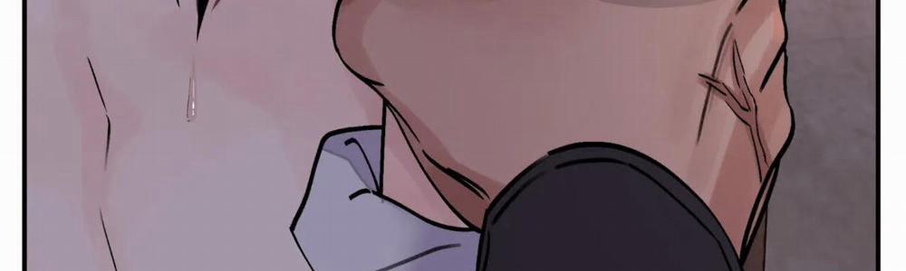 Hoa Và Gươm 12 trang 185