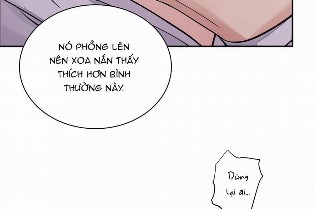 Hoa Và Gươm 17 trang 71