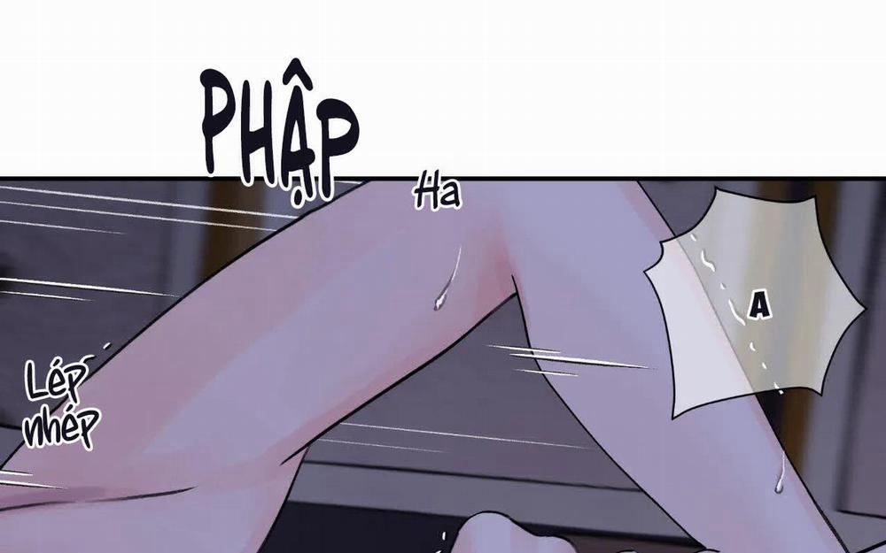 Hoa Và Gươm 24 trang 8