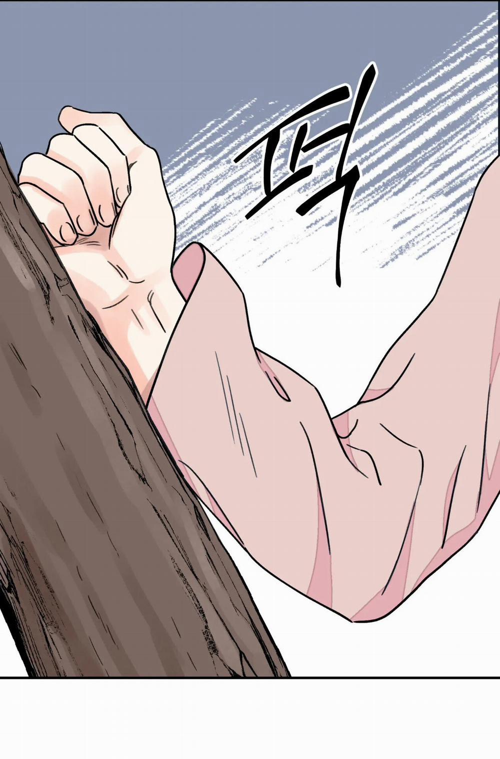 Hoa Và Gươm 26.2 trang 12