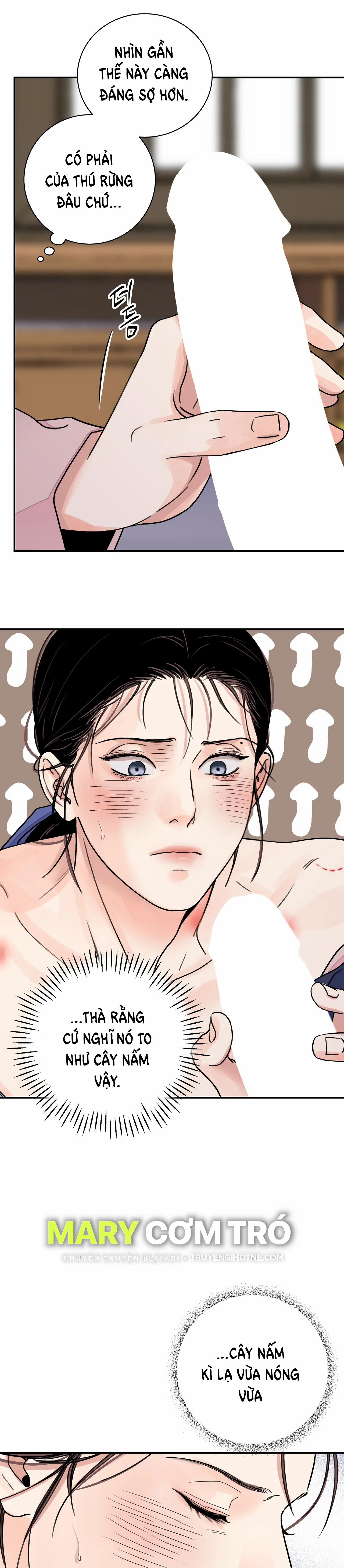 Hoa Và Gươm 28.1 trang 6