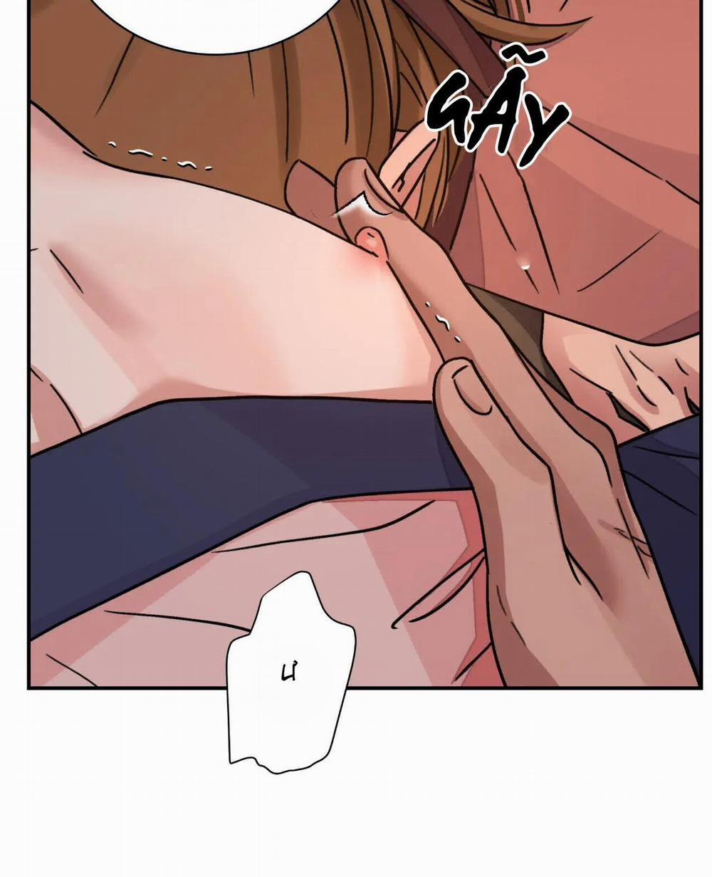 Hoa Và Gươm 32 trang 17