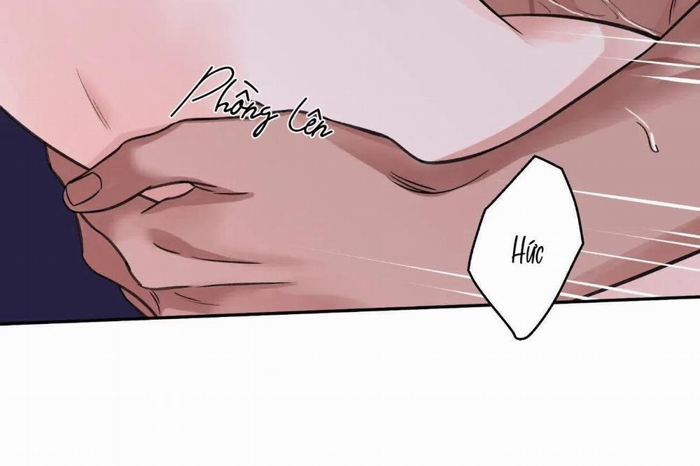 Hoa Và Gươm 36 trang 47