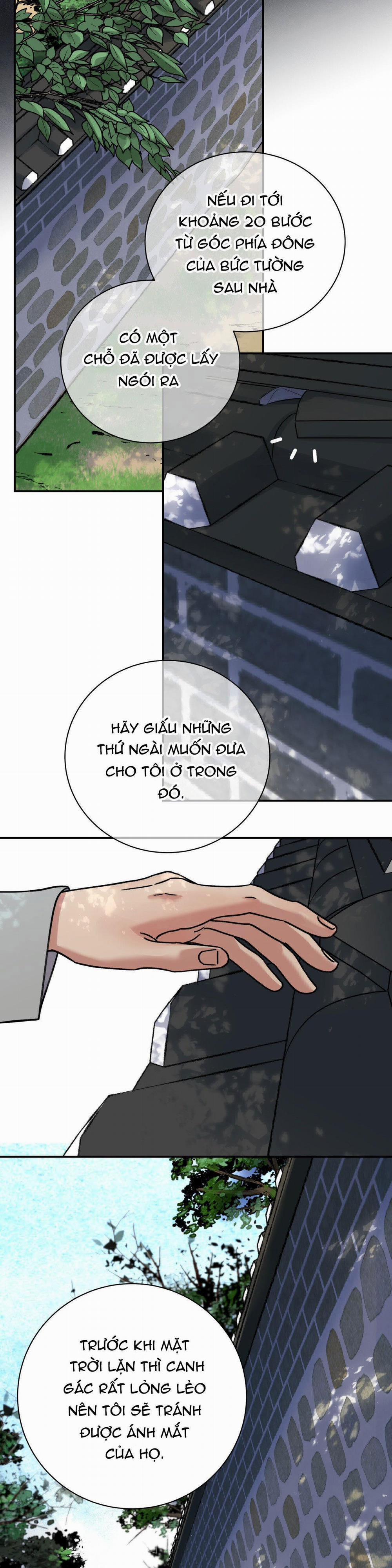 Hoa Và Gươm 50 trang 7