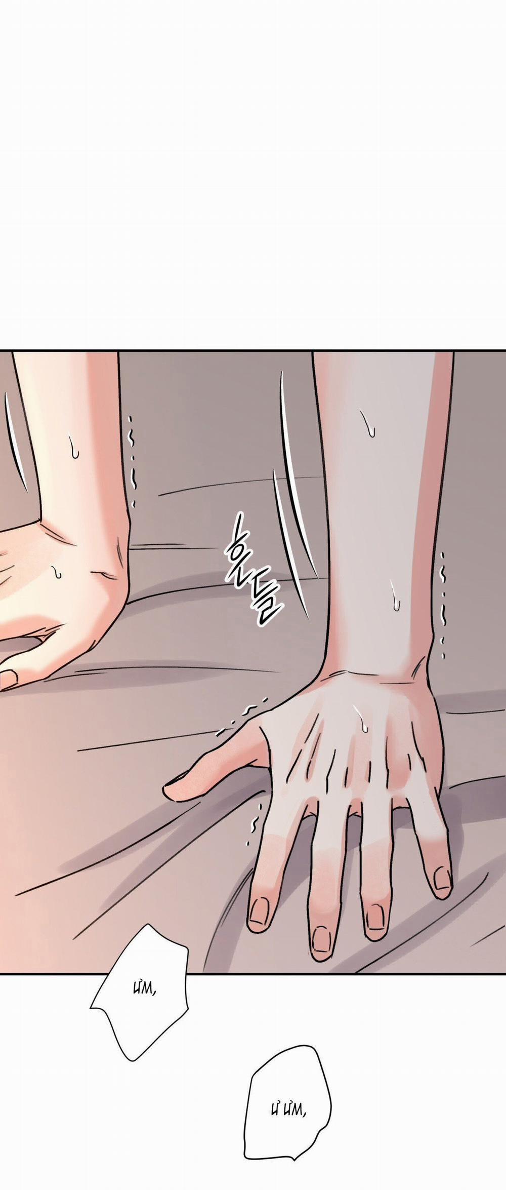 Hoa Và Gươm 52.2 trang 6