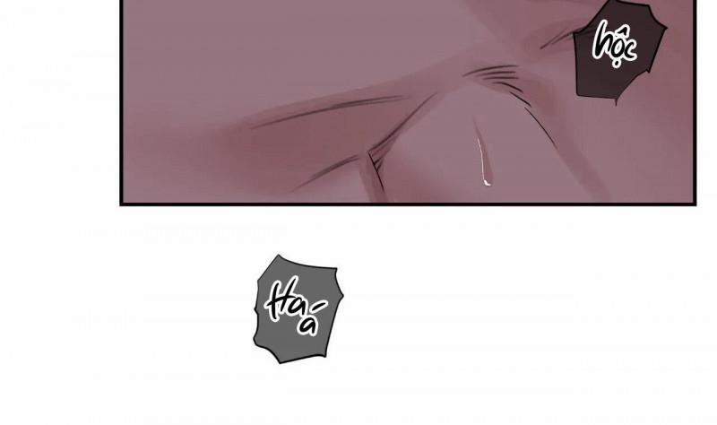 Hoa Và Gươm 9.5 trang 5