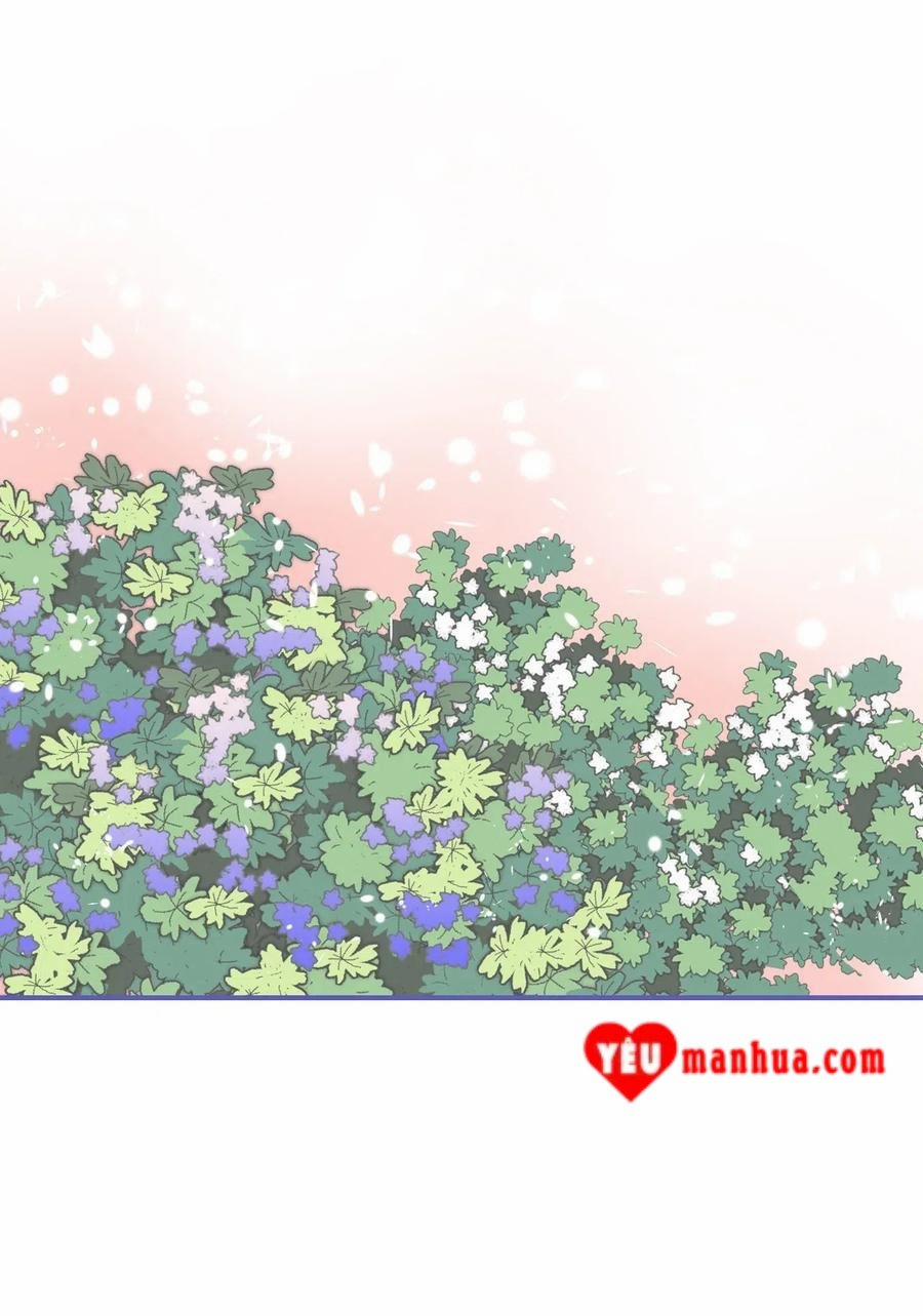 Hoa Vũ Dao 35 trang 21