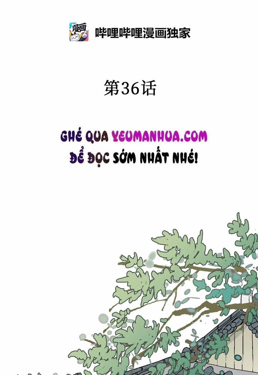 Hoa Vũ Dao 36 trang 1