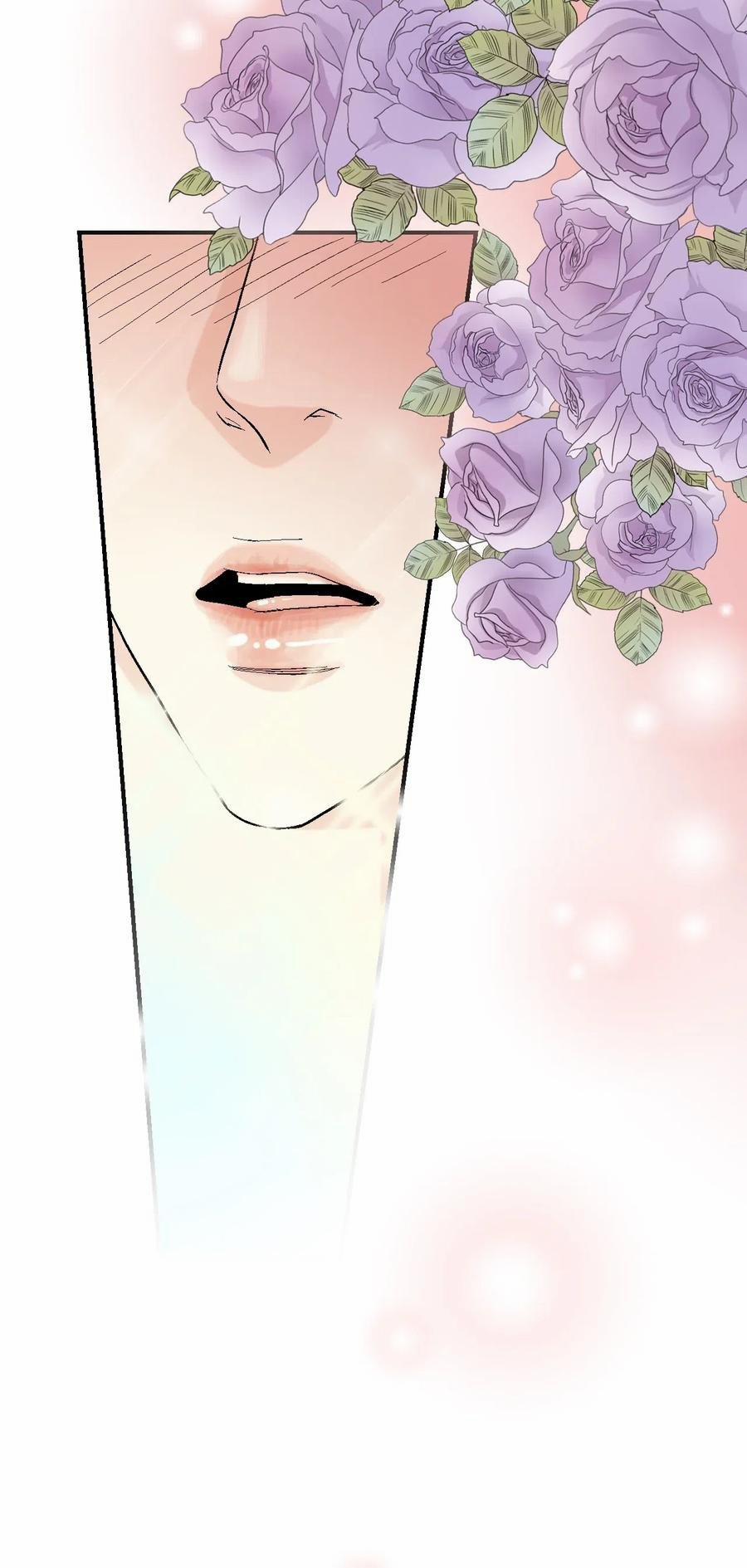 Hoa Vũ Dao 37 trang 37