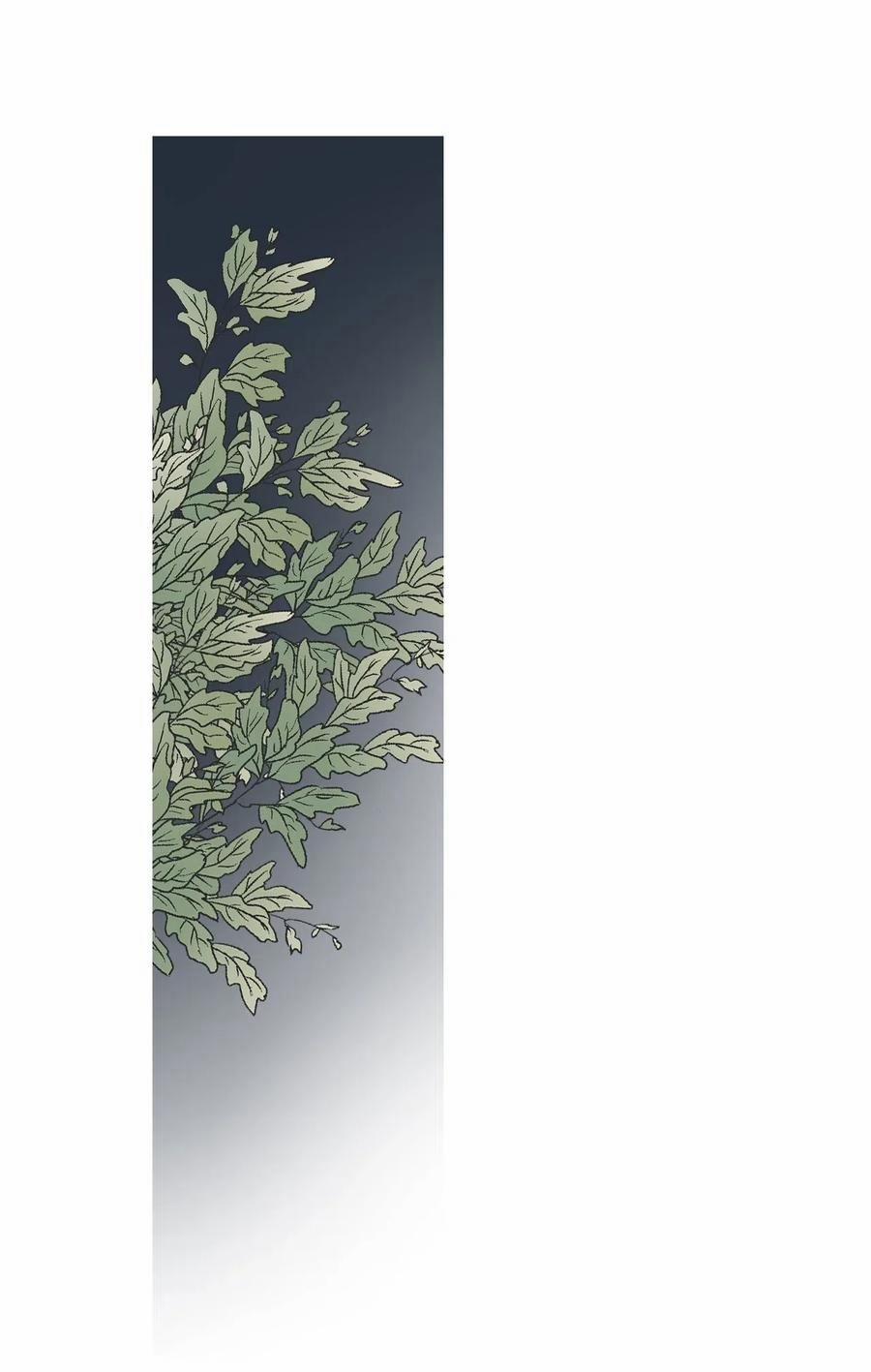 Hoa Vũ Dao 40 trang 19