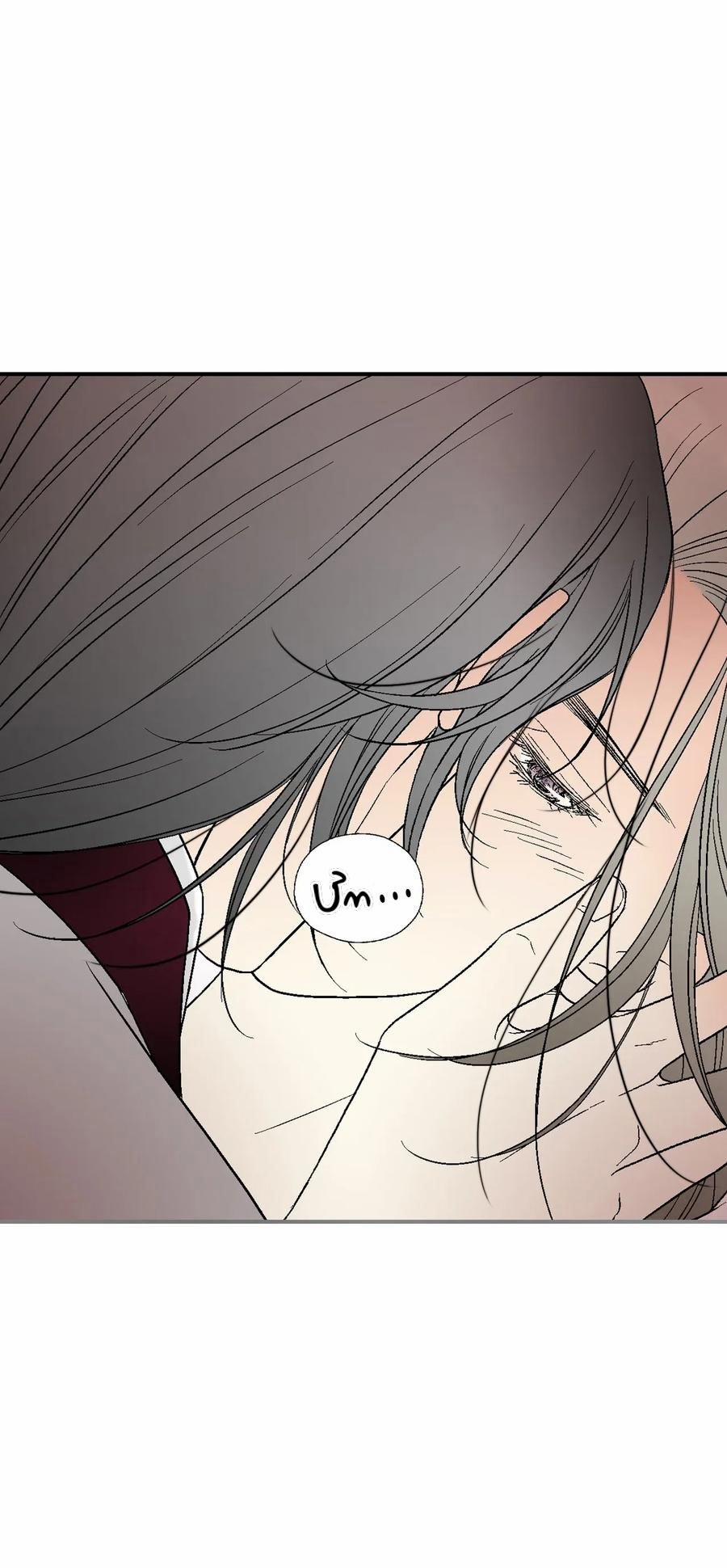 Hoa Vũ Dao 42 trang 40