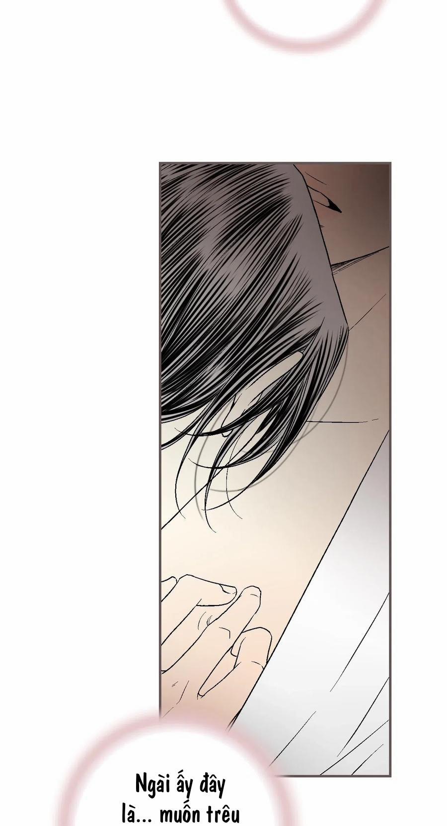 Hoa Vũ Dao 42 trang 48