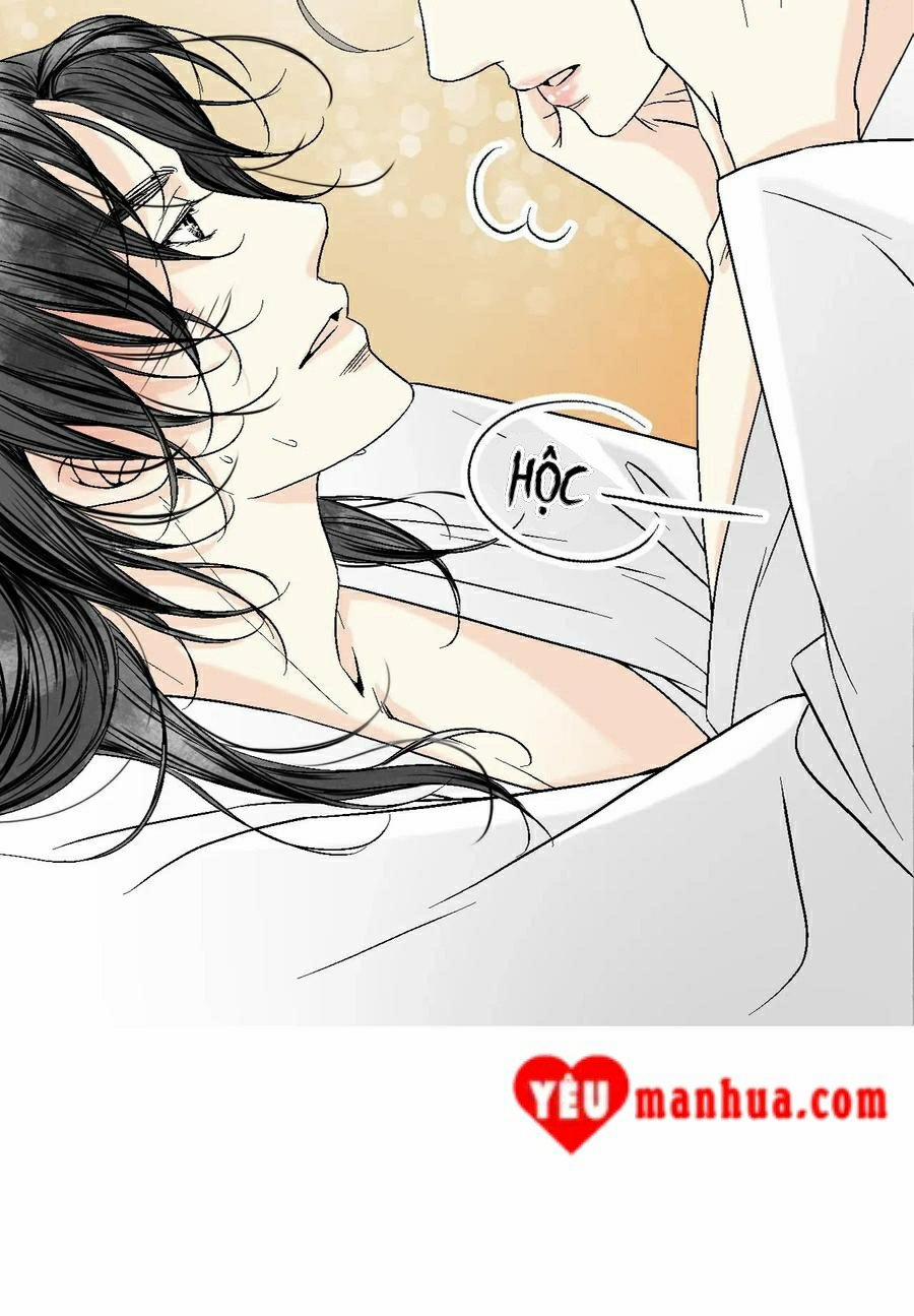 Hoa Vũ Dao 43 trang 14
