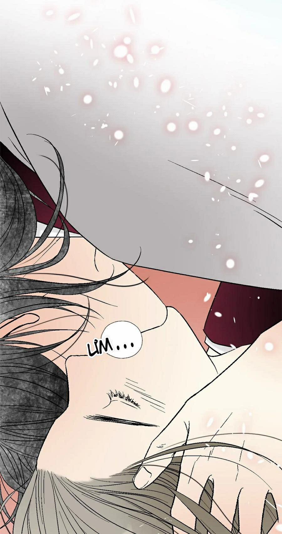 Hoa Vũ Dao 43 trang 2