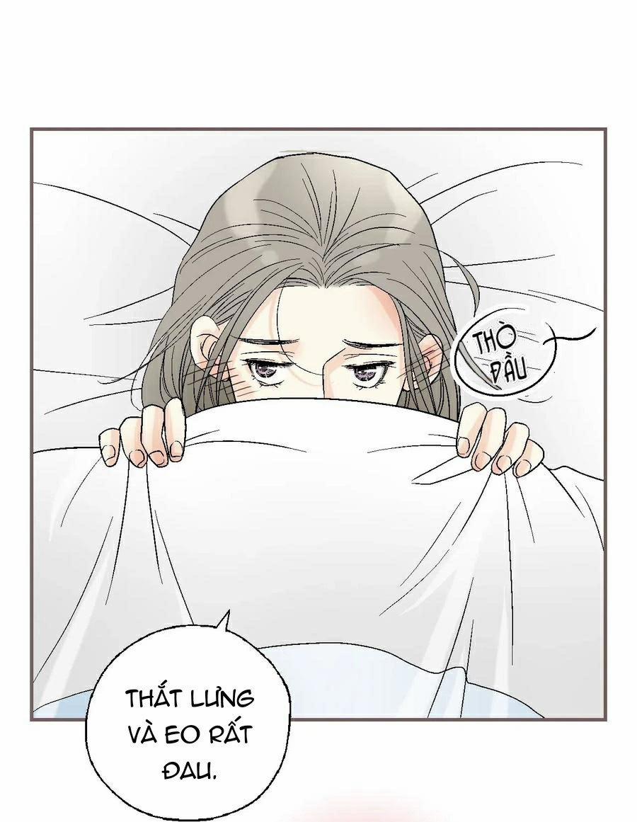 Hoa Vũ Dao 43 trang 22