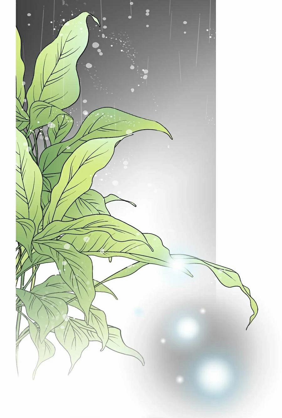 Hoa Vũ Dao 43 trang 5