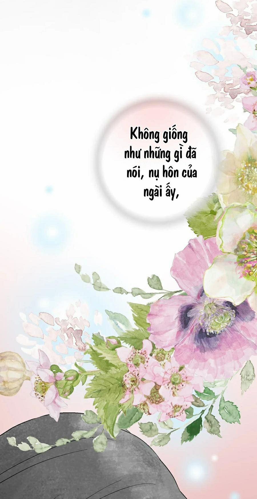 Hoa Vũ Dao 43 trang 50